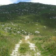 Bild Disentis - Caischavedra - Sedrun 4 