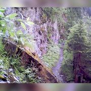 Bild Glaspass - Bischolpass (Low-Res) 9 