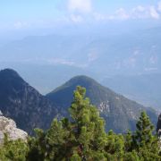Bild Monte Roen, Tramin (Südtirol) 19 Bild Monte Roen, Tramin (Südtirol) 19