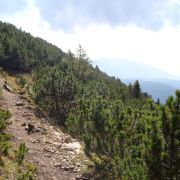 Bild Monte Roen, Tramin (Südtirol) 20 Bild Monte Roen, Tramin (Südtirol) 20