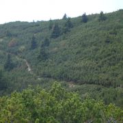 Bild Monte Roen, Tramin (Südtirol) 22 