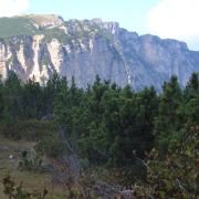 Bild Monte Roen, Tramin (Südtirol) 23 