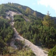 Bild Monte Roen, Tramin (Südtirol) 25 Bild Monte Roen, Tramin (Südtirol) 25