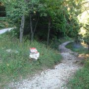 Bild Monte Roen, Tramin (Südtirol) 34 Bild Monte Roen, Tramin (Südtirol) 34