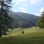 Bild Monte Roen, Tramin (Südtirol) 5 Bild Monte Roen, Tramin (Südtirol) 5