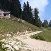 Bild Monte Roen, Tramin (Südtirol) 7 Bild Monte Roen, Tramin (Südtirol) 7