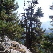 Bild Suvrettapass (Engadin) 3 