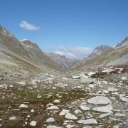 Bild Suvrettapass (Engadin) 22 