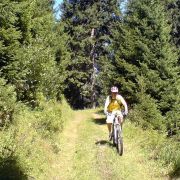 Bild Chur-Brambrüesch-Sauerquelle 8 Bild Chur-Brambrüesch-Sauerquelle 8