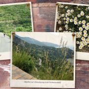 Bild Rund um den Monte Argentario (Toscana) 0 