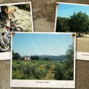 Bild Monte Arsenti, Massa Marittima (Toscana) 3 