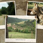 Bild Hinterland Grosseto - Scansano, Toscana 3 