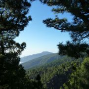 Bild Roque Kante Ost (Einstiegsvariante), La Palma (Kanaren) 0 