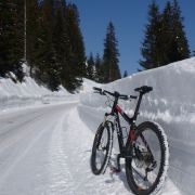 Bild Safien - Camana  (Winter-Tour) 0 