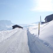 Bild Safien - Camana  (Winter-Tour) 22 