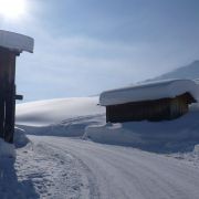 Bild Safien - Camana  (Winter-Tour) 9 