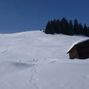 Bild Safien - Camana  (Winter-Tour) 10 