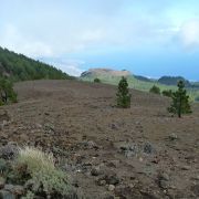 Bild Nambroque (Hoyo Negro), La Palma (Kanaren) 15 