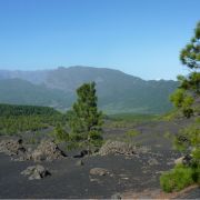Bild Nambroque (Hoyo Negro), La Palma (Kanaren) 35 