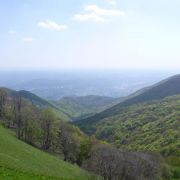 Bild Bellavista 17 