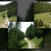Bild Val Mora - Buffalora 9 