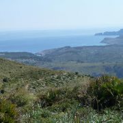 Bild Torre d'Albarca (Mallorca) 6 