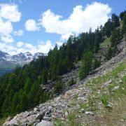 Bild Val Muragl 6 