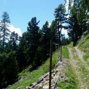 Bild Val Muragl 9 