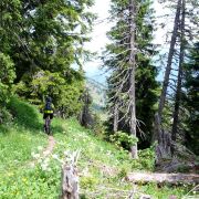 Bild Chimmispitz Flowtrails 14 