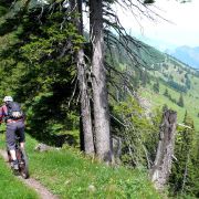 Bild Chimmispitz Flowtrails 15 