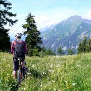 Bild Chimmispitz Flowtrails 5 