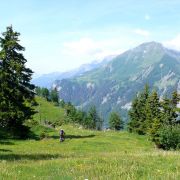 Bild Chimmispitz Flowtrails 6 