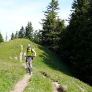 Bild Chimmispitz Flowtrails 8 