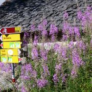 Bild Scalettapass - Sertigpass 3 