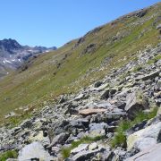 Bild Scalettapass - Sertigpass 26 