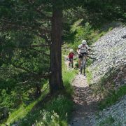 Bild Albula Haute-Route 20 