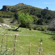 Bild Ermita de Betlem (Colònia de Sant Pere - Mallorca) 0 