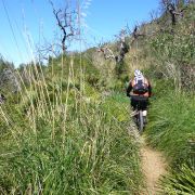 Bild Ermita de Betlem (Colònia de Sant Pere - Mallorca) 30 