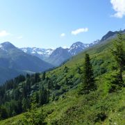 Bild Rinerhorn - Sertig-Dörfli 11 