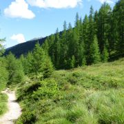 Bild Rinerhorn - Sertig-Dörfli 20 