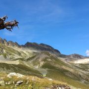 Bild Piz Nair 24 