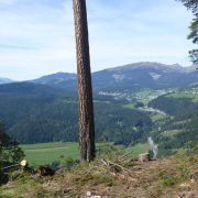 Bild Gletschermühlen (Alp Mora) 4 