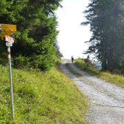 Bild Gletschermühlen (Alp Mora) 6 