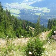 Bild Gletschermühlen (Alp Mora) 7 