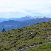 Bild Gletschermühlen (Alp Mora) 44 