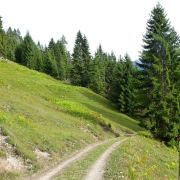 Bild Gletschermühlen (Alp Mora) 45 