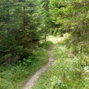 Bild Gletschermühlen (Alp Mora) 46 