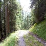 Bild Gletschermühlen (Alp Mora) 47 