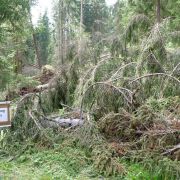 Bild Gletschermühlen (Alp Mora) 49 