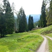 Bild Gletschermühlen (Alp Mora) 50 